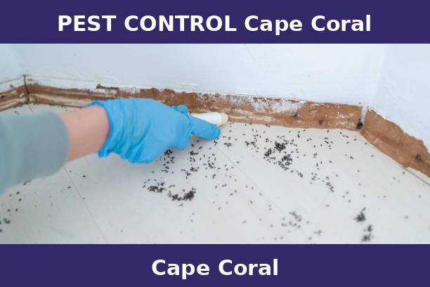 PEST CONTROL Cape Coral